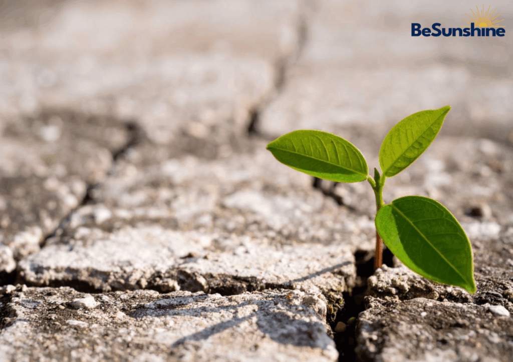 ปรับตัวอย่างยืดหยุ่นรับความท้าทายเพื่อความสำเร็จและเติบโต (Building Resilience)